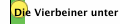 Die Vierbeiner unter uns