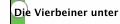 Die Vierbeiner unter uns
